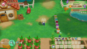 Story of Seasons: Friends of Mineral Town