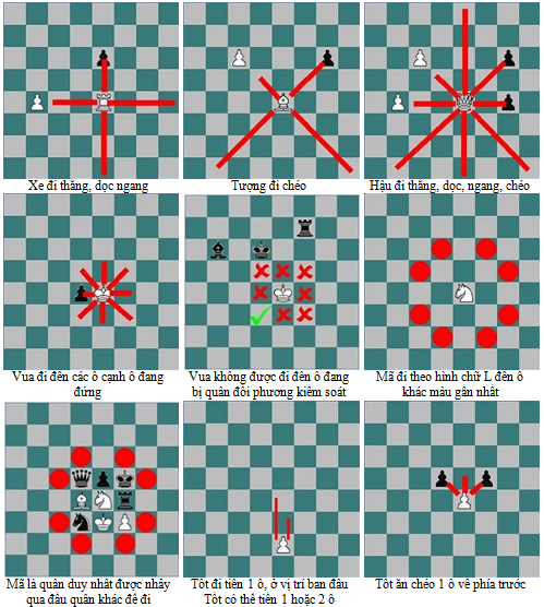 Tạo những nước đi thông minh trong cờ Vua