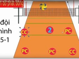 Hướng dẫn cách áp dụng đội hình 5 1 bóng chuyền chuẩn nhất