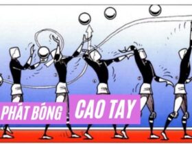 Hướng dẫn cách phát bóng cao tay chuẩn nhất cho người mới