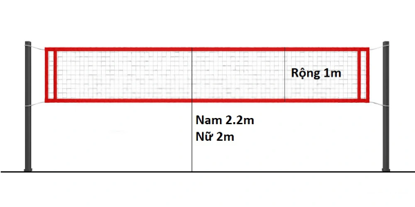 Quy định về lưới chuẩn thi đấu
