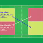 Luật phát cầu lông đơn, đôi đúng quy định của BWF 2024