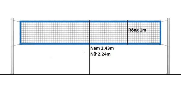 Lưới bóng chuyền cao bao nhiêu là chuẩn?
