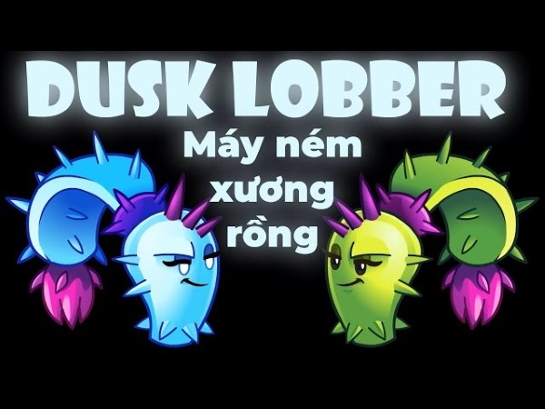 Dusk Lobber (Cây pháo hoàng hôn)