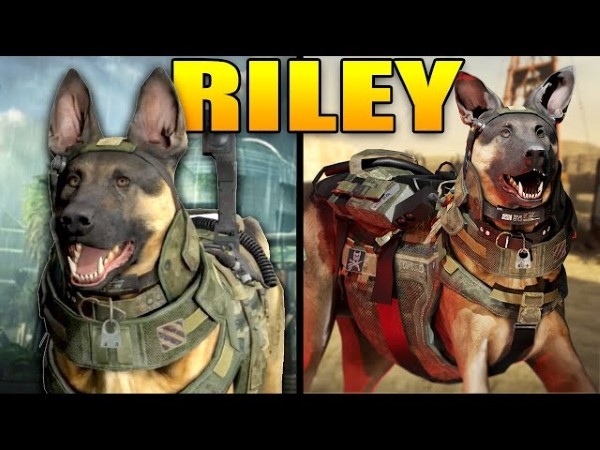 Riley the Dog là một nhân vật trong game Call of Duty