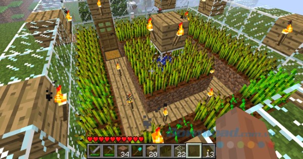 Hướng dẫn cách trồng lúa mì trong Minecraft