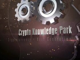 Cách áp dụng nguyên tắc "Have Skin In The Game" trong đầu tư Crypto